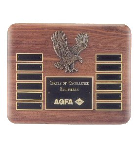 American Eagle 12 Plate Plaque