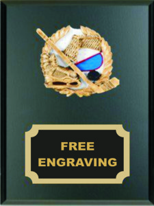 High Relief Colored Hockey Emblem Plaque