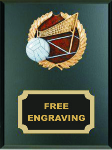 High Relief Colored Volleyball Emblem Plaque