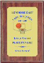 Full Plate Basketball Plaque