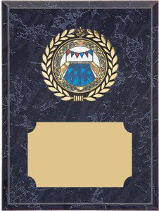 Swimming Insert Emblem Plaque