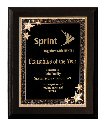 Economy Matte Black Finish Plaque With Starburst Plate