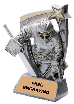 Three Dimensional Star Hockey Goalie Trophy
