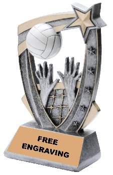 Three Dimensional Star Volleyball Trophy