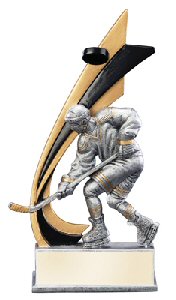 Live Action Male Hockey Player