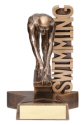 Male Swimmer Billboard Trophy