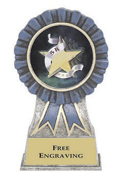 Blue Ribbon 5K Running Award