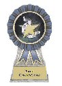 Blue Ribbon 5K Running Award