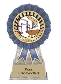 Blue Ribbon Gymnastics Award