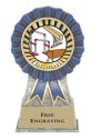 Blue Ribbon Gymnastics Award