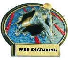 Burst Thru Male Swimming Plaque