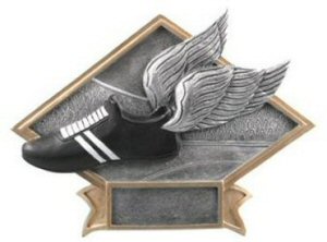 Winged Running Shoe Diamond Resin Plate