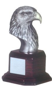 Silver American Eagle Award
