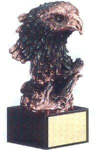 American Eagle Resin Award
