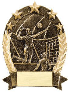 Five Stars Volleyball Oval Awards Male or Female