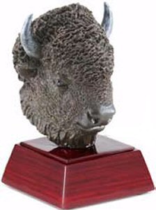Buffalo Mascot Resin Statue