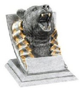 Bear Spirit Mascot Award