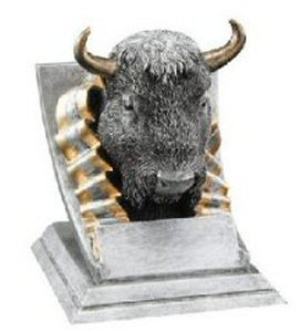 Buffalo Spirit Mascot Award