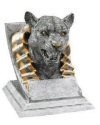 Cougar Spirit Mascot Award