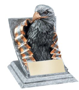 Eagle Spirit Mascot Award
