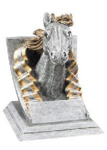 Mustang Spirit Mascot Award