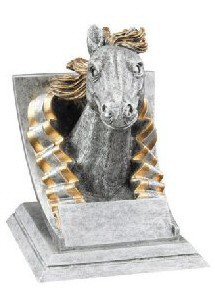 Mustang Spirit Mascot Award