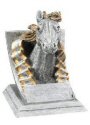 Mustang Spirit Mascot Award