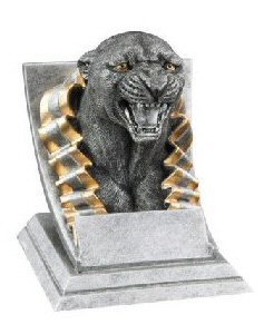 Panther Spirit Mascot Award