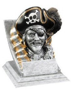 Pirate Spirit Mascot Award