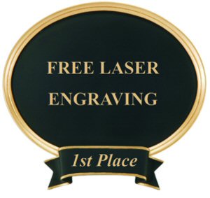 Engravable Oval Resin Plate