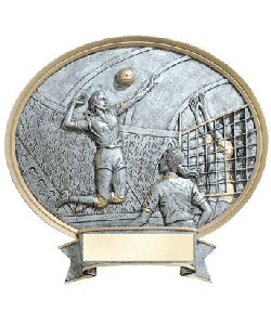 Volleyball Oval Resins Plaque Male or Female