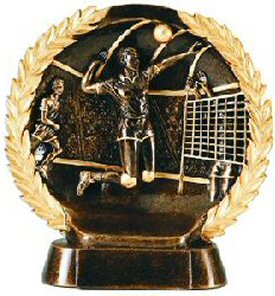 Male Volleyball Bronze Resin Plate