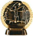 Male Volleyball Bronze Resin Plate