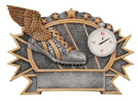Track Three Dimensional Shield Plaque