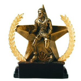 Star and Wreath Bronze Finish Wrestling Award