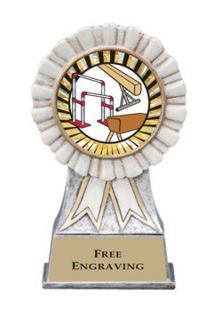 White Ribbon Gymnastics Award
