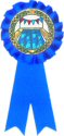 Blue Rosette Swim Ribbon