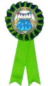 Green Rosette Swim Ribbon