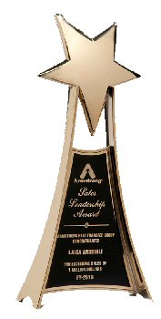 Large Gold Metal Star Trophy