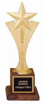 Star Riser Casting Trophy