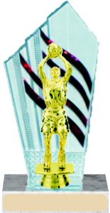 Diamondback Basketball Trophy