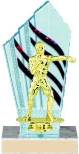 Diamondback Boxing Trophy