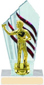 Diamondback Darts Trophy