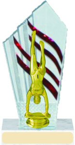 Diamondback Gymnastics Trophy