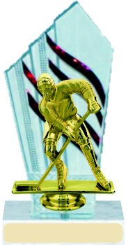 Diamondback Hockey Trophy