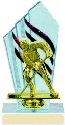 Diamondback Hockey Trophy