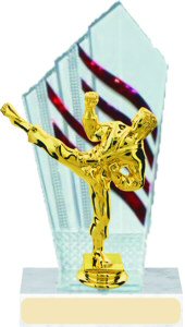 Diamondback Karate Trophy