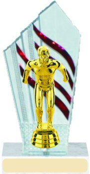 Diamondback Swimming Trophy