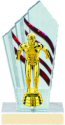 Diamondback Swimming Trophy