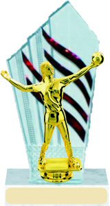 Diamondback Volleyball Trophy